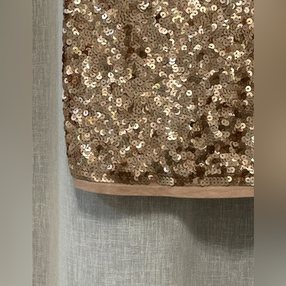 Ann Taylor LOFT Petites Tank Top Full Front Sequins, Size LP, Beige/Gold - Picture 4 of 10